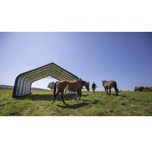 Paardenstal met twee paarden in een weiland