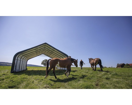 Paardenstal met twee paarden in een weiland