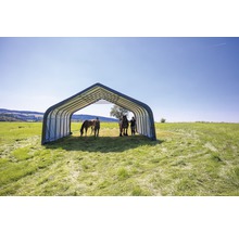 Paardenstal in een groene omgeving met twee paarden en twee personen.