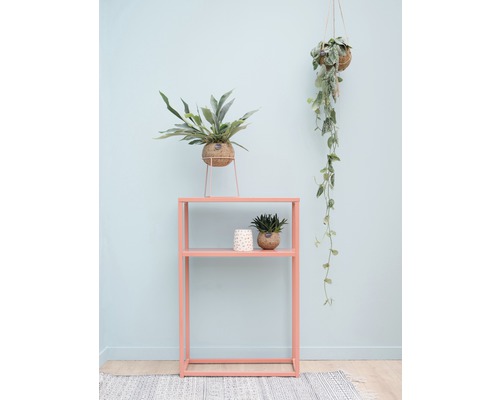 Kamer met plank, potplanten en hangplant