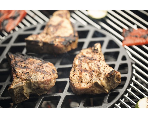 Vlees en groenten op een barbecuegrill