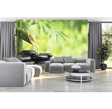 Woonkamer met fotobehang met bamboe en stenen