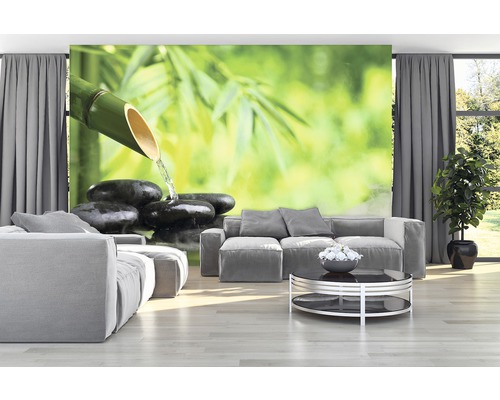 Woonkamer met fotobehang met bamboe en stenen