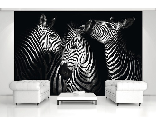 Woonkamer met fotobehang met zebramotief