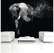 Woonkamer met fotobehang van een olifant
