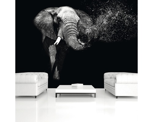 Woonkamer met fotobehang van een olifant