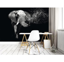 Kamer met olifanten fotobehang, bureau en stoel