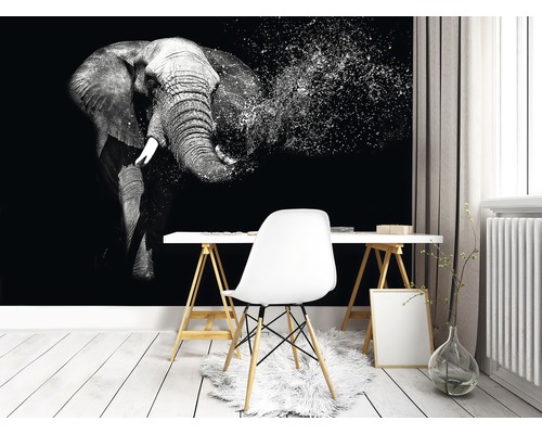 Kamer met olifanten fotobehang, bureau en stoel