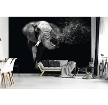 Woonkamer met fotobehang van een olifant in grafische stijl