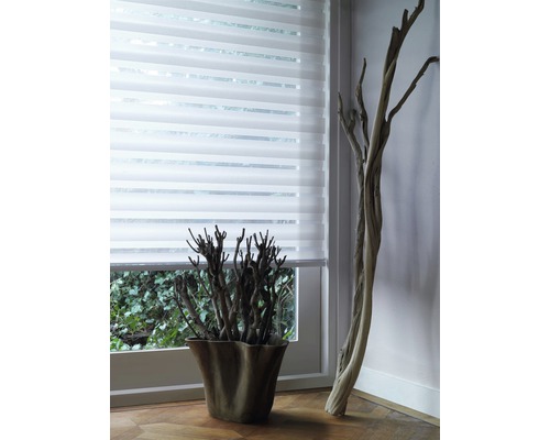 Raam met rolgordijn en decoratie