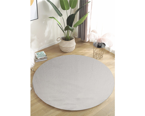 Rond vloerkleed in woonkamer met kamerplant en bijzettafel