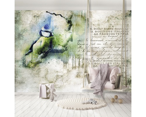 Scene met een foto van een vogelmotief, een schommel, een tapijt en een wasmand