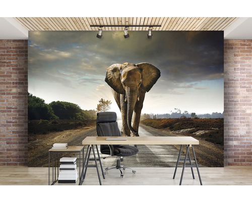 Wanddecoratie met olifantmotief in een kantoor