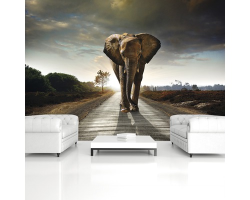 Vliesbehang met olifantmotief op een landweg in een woonkamer