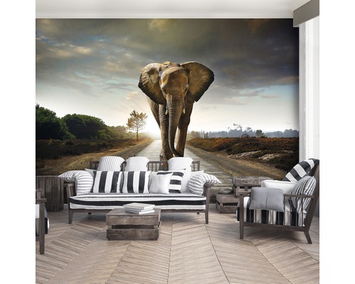 Woonkamer met fotobehang waarop een olifant op een weg te zien is