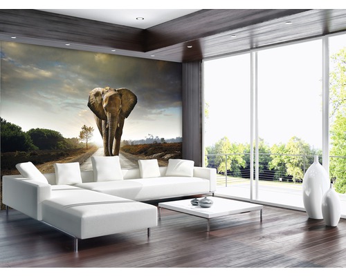 Lichte woonkamer met fotobehang met olifantmotief, bank, tafel en groot raam