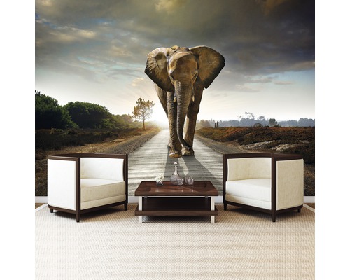 Wandafbeelding met olifant op een weg in de zonsondergang, gecombineerd met twee fauteuils en een tafel