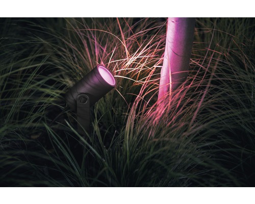 Tuinspot in gras