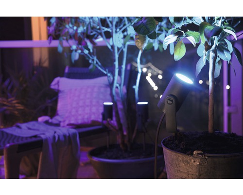 Tuinscene met planten in potten, verlicht met spotjes