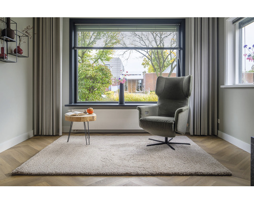 Woonkamer met tapijt, fauteuil, bijzettafel en raam