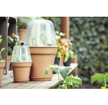 Scene met plantenpotten en kweekkappen voor planten