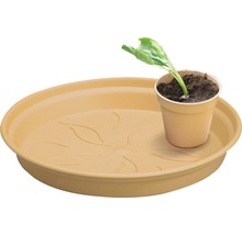 Plantenschotel met plant in pot