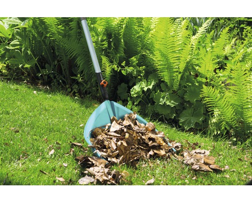 Tuin met bladhark en herfstbladeren