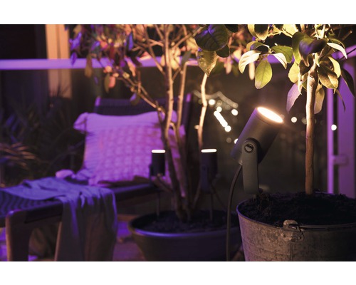 Sfeervolle afbeelding van een terras met planten en tuinspots die een gezellige verlichting creëren