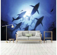 Woonkamer met foto van behang met walvissen en duiker.
