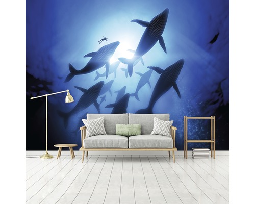 Woonkamer met foto van behang met walvissen en duiker.
