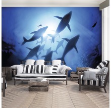 Fotobehang met walvissen en duiker in een woonkamer