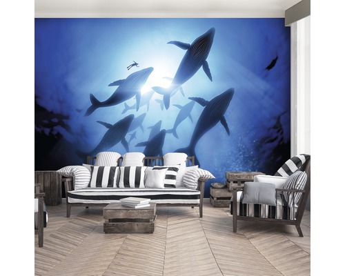 Fotobehang met walvissen en duiker in een woonkamer