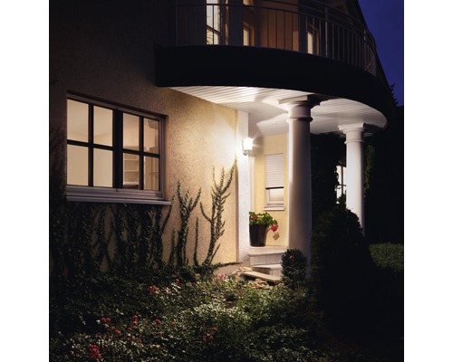 Gevel met buitenverlichting, raam en beplanting