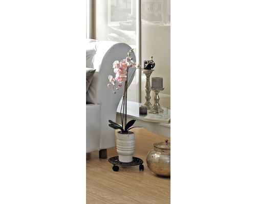 Decoratieve orchidee in een woonkamer op plantenrollers.
