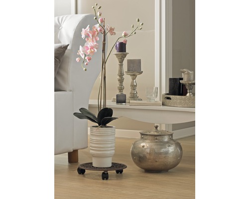 Decoratief interieur met plant, bloempot, kaarsen en bank