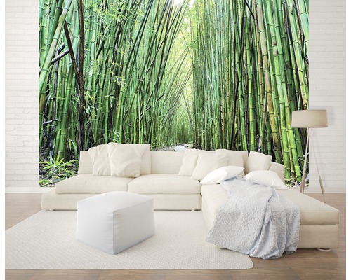 Wandafbeelding met bamboebosmotief achter een bank