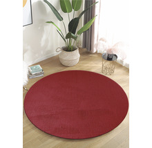 Rond tapijt op een houten vloer, naast een kamerplant.