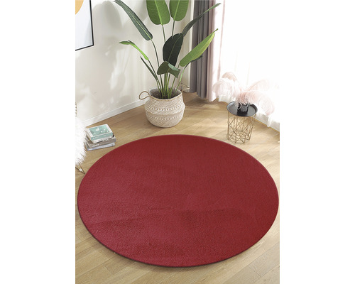 Rond tapijt op een houten vloer, naast een kamerplant.