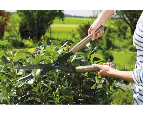 Tuinschaar tijdens het snoeien van een haag in de tuin