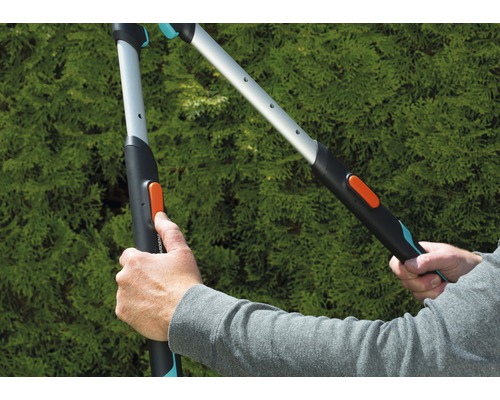 Twee handen bedienen een snoeischaar voor een groene struik.