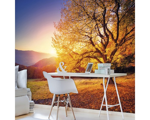 Vliesbehang met herfstboommotief achter een bureau