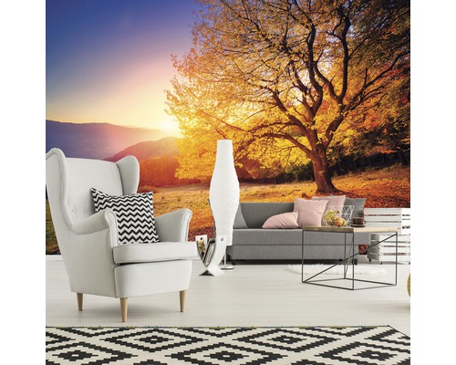 Woonkamer met foto van een herfstbos bij zonsopgang op behang.