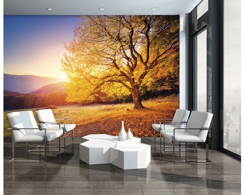 Scene met fotobehang dat een boom in een herfstlandschap toont, met fauteuils en een tafel in een kamer