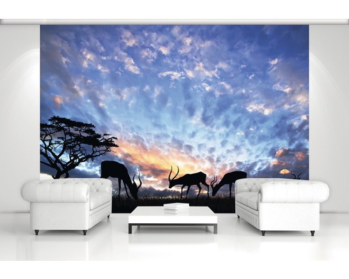 Behang met savanne motief in woonkamer met banken