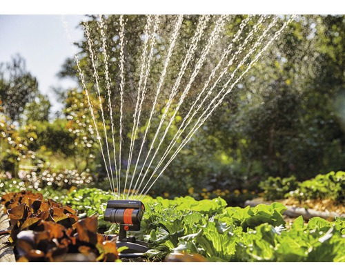 Tuinbesproeiing met zwenksproeier boven groenteplanten