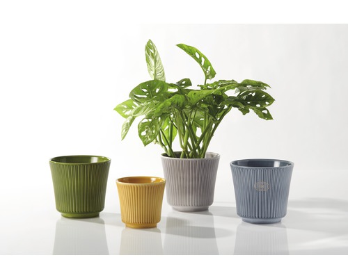 Diverse gekleurde keramische bloempotten met ribbeltextuur en kamerplant