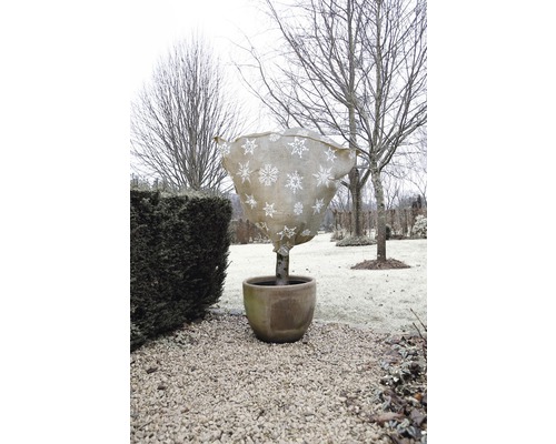 Boom in pot met winterbescherming in de tuin