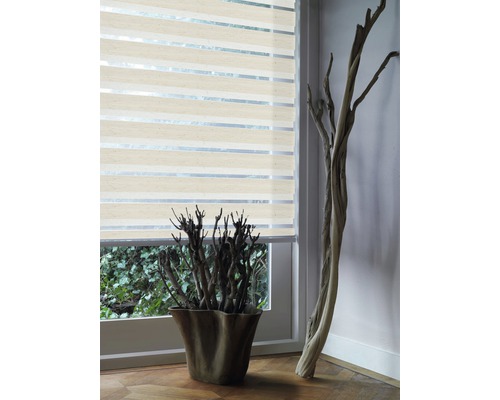 Zichtscherm rolgordijn op het raam met decoratieve elementen in de kamer.