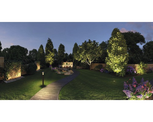 Verlichte tuin met bomen, bloemen en stenen pad