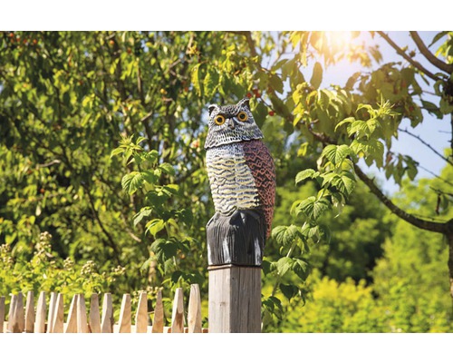 Uilenbeeld op houten paal ter vogelwering in de tuin